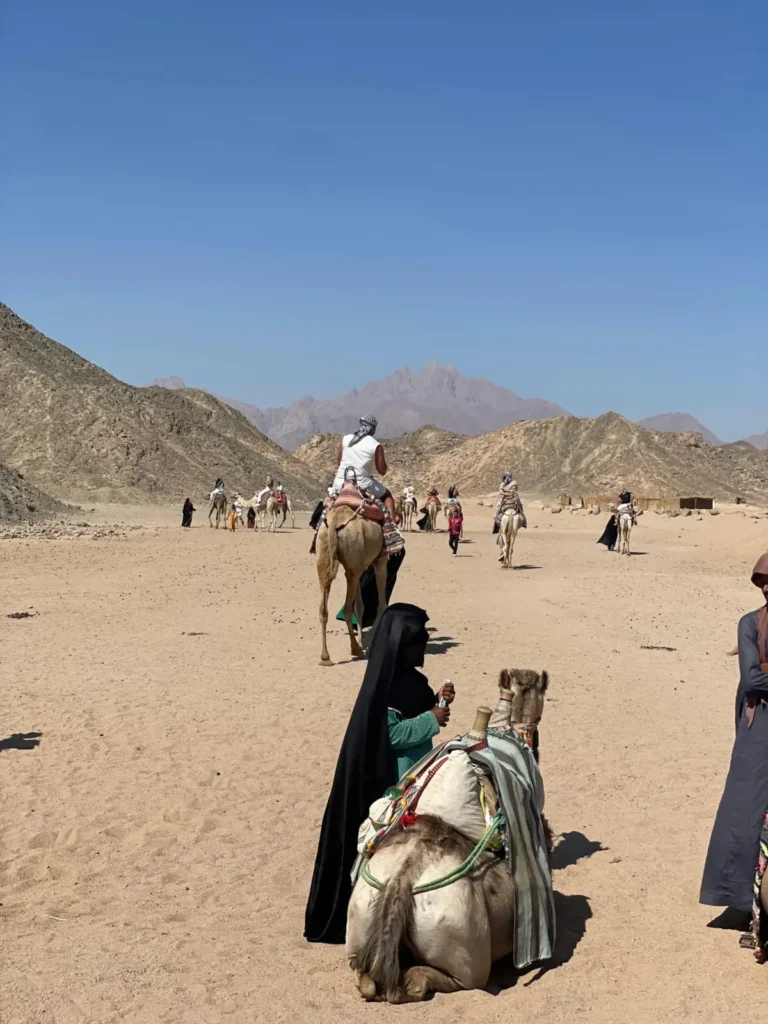 Desert safari near Hurghada