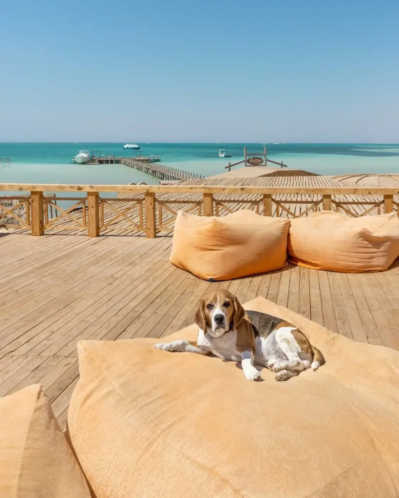 Orange Bay beach on Giftun Island, Hurghada